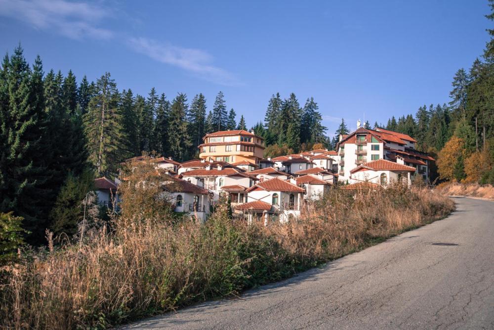 Carpe Diem Villa Pamporovo