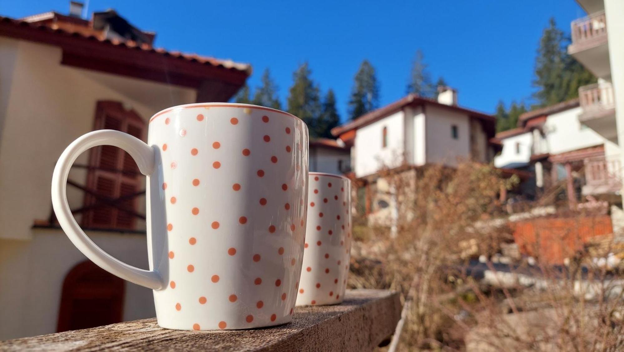 Carpe Diem Villa *